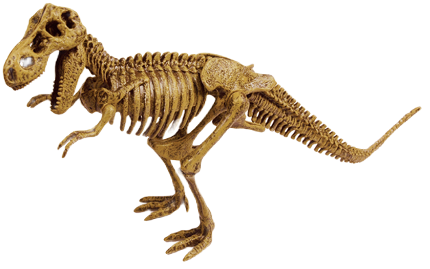 ティラノサウルス
恐竜発掘セット(組立)
株式会社ヤマサン
