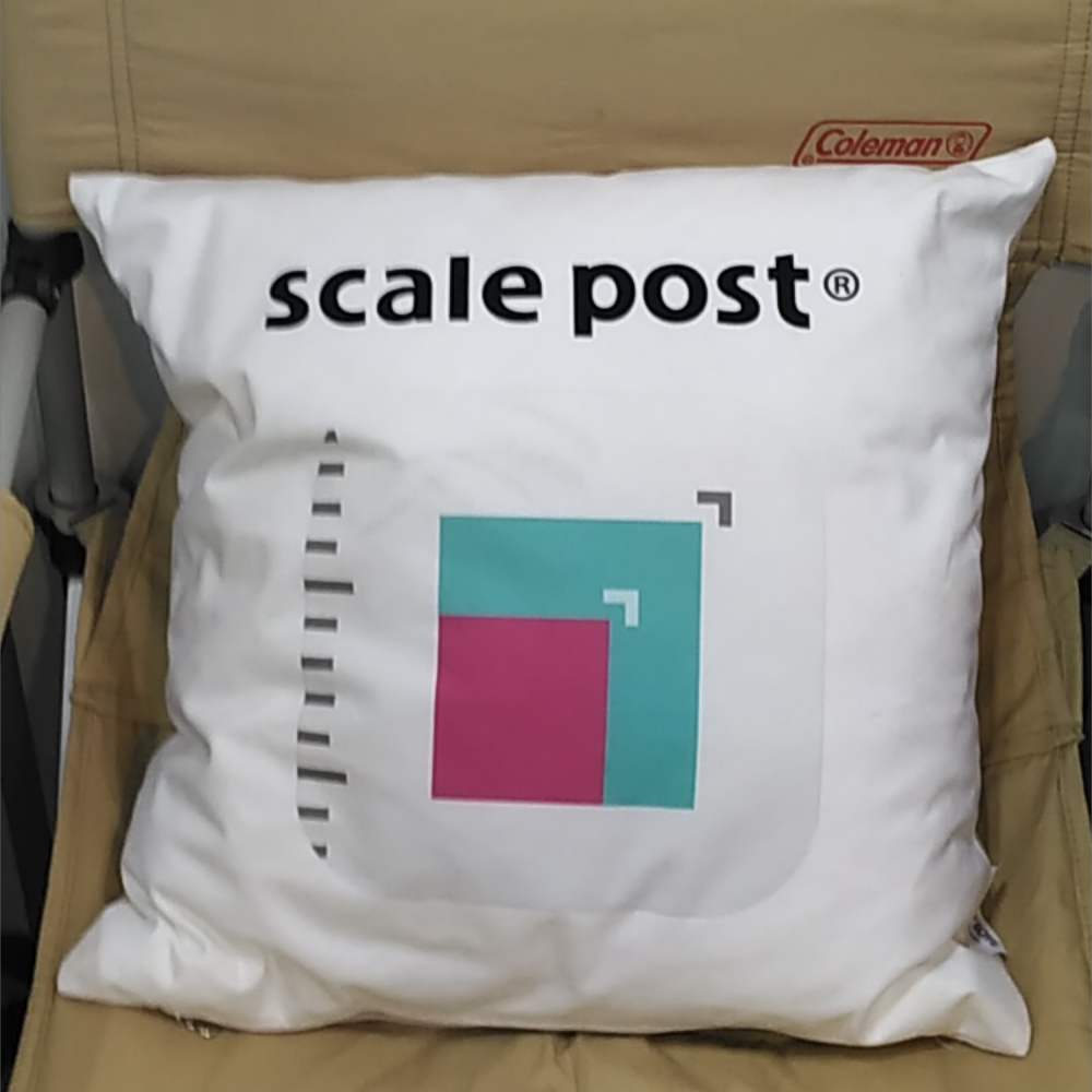 post from scale post AR Camera