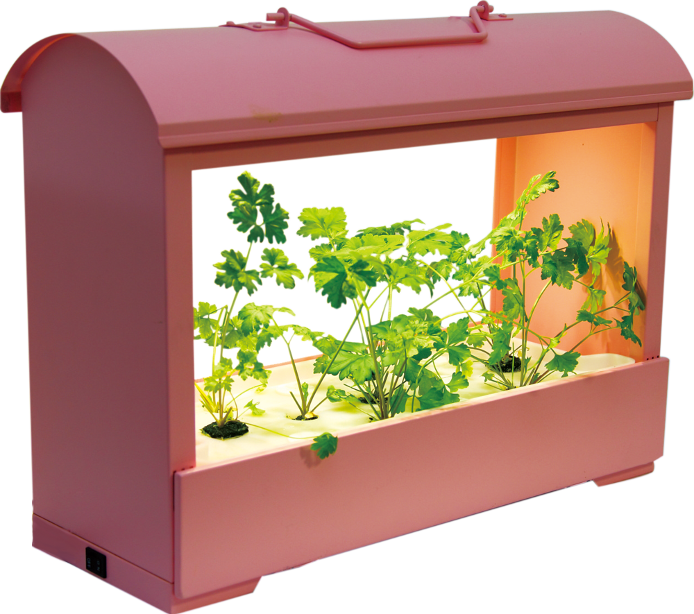 水耕栽培で室内で野菜が育てられるインテリア「Akarina05ピンク」
