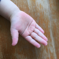 子供の成長記録。2歳と9ヶ月の右手。